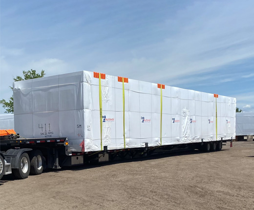 Cracking the Code of Customized Transportation